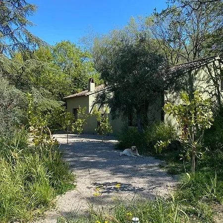 Mesogheo Bed & Breakfast