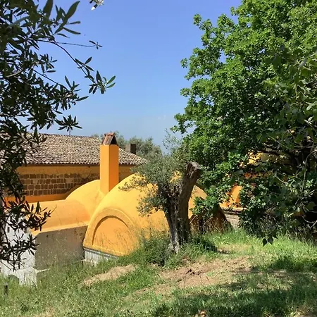 Mesogheo Bed & Breakfast