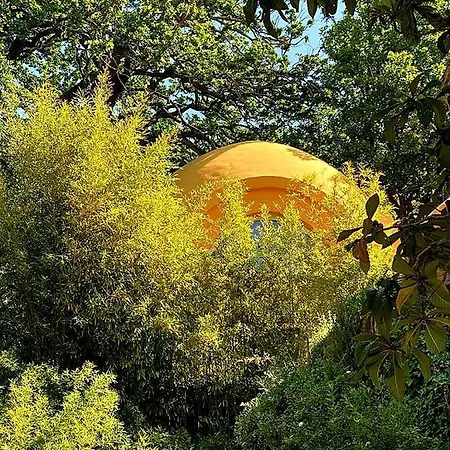 Mesogheo Bed & Breakfast *