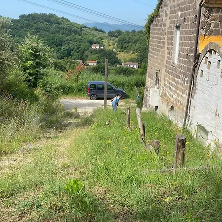 Mesogheo Melizzano